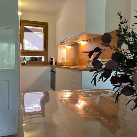 Apartment Planta Baja Con Jardin Y Piscina Junto A Llivia