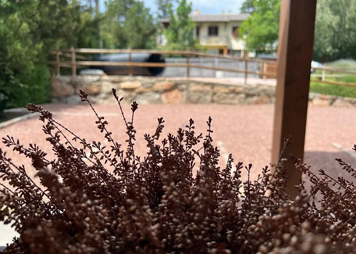 Planta Baja Con Jardin Y Piscina Junto A Llivia Apartman Estavar