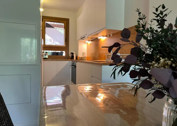 Apartman Planta Baja Con Jardin Y Piscina Junto A Llivia
